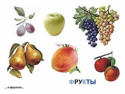 Яблоко груша слива персик