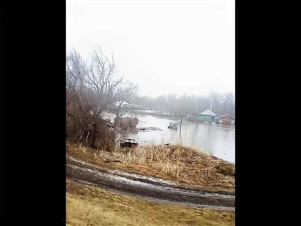 Погода кабаново алтайский край. Село огни Усть-Калманского района Алтайского края. Село огни Алтайский край. С.огни Усть Калманского района Алтайского края. Михайловка Усть-Калманский район.