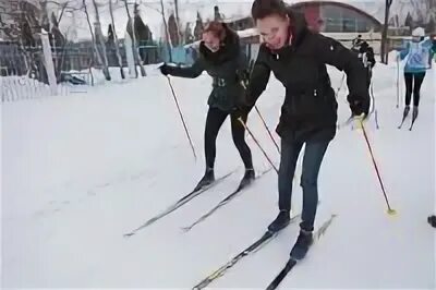 лыжник гто. лыжи гто картинки. бег на лыжах гто. бег на лыжах техника выполнения гто. бег на лыжах гто.