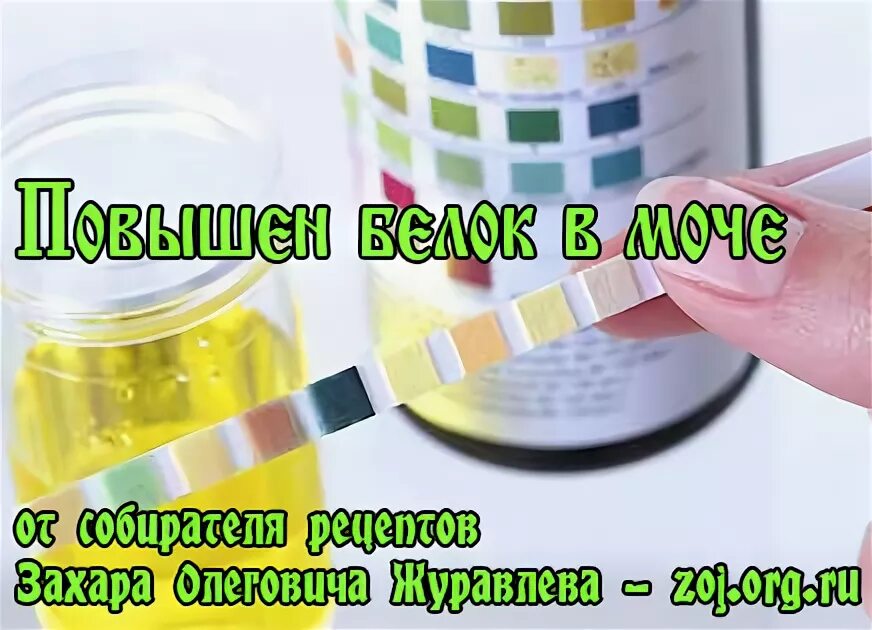 Препараты повышающие белок в моче. Повышение белок в моче. Белок в моче лекарства. Препарат понижающий белок в моче.