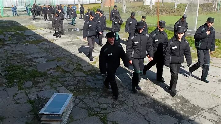 Уик колония поселения. Ныроб колония поселение 11. исправительная колония краснодар поселение. ик 11 ныроб пермский край. ныроб тюрьма особого режима.