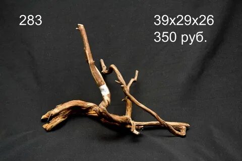 Заводить за корягу значение