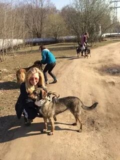 Приют юля рыбинск для кошек