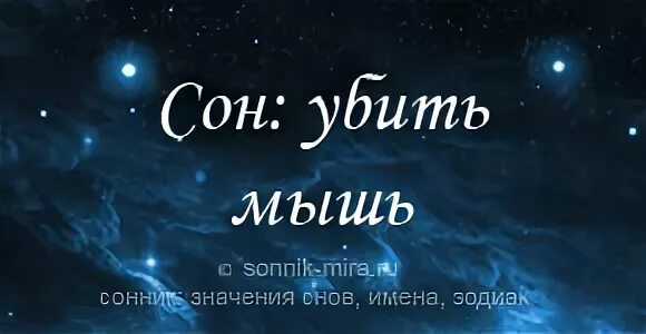 К чему снятся мыши во сне. Видеть во сне убитую мышь. Крыса. Сонник приснилась мышь. К чему снятся мыши.