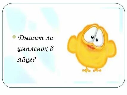 Цыпленок дышит открытым ртом