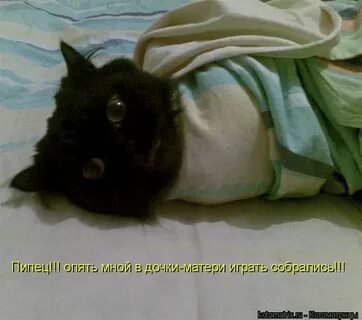 Опять поймал