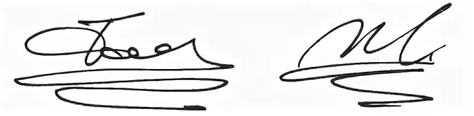 элементы подписи росчерк. конструктивное строение подписи. росчерк пушкина. пособие по росчеркам. виды росчерков в подписи.