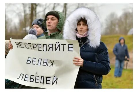 Белый защищать