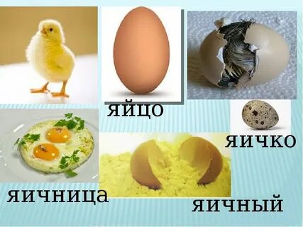 Правильно яички