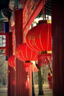 Red lanterns - Faculty of Astrological Studies