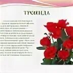 Розы фото. Троянда текст. Троянда текст. Троянда текст. Рассказ про розу на украинский.