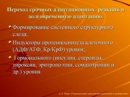 Долговременная адаптация