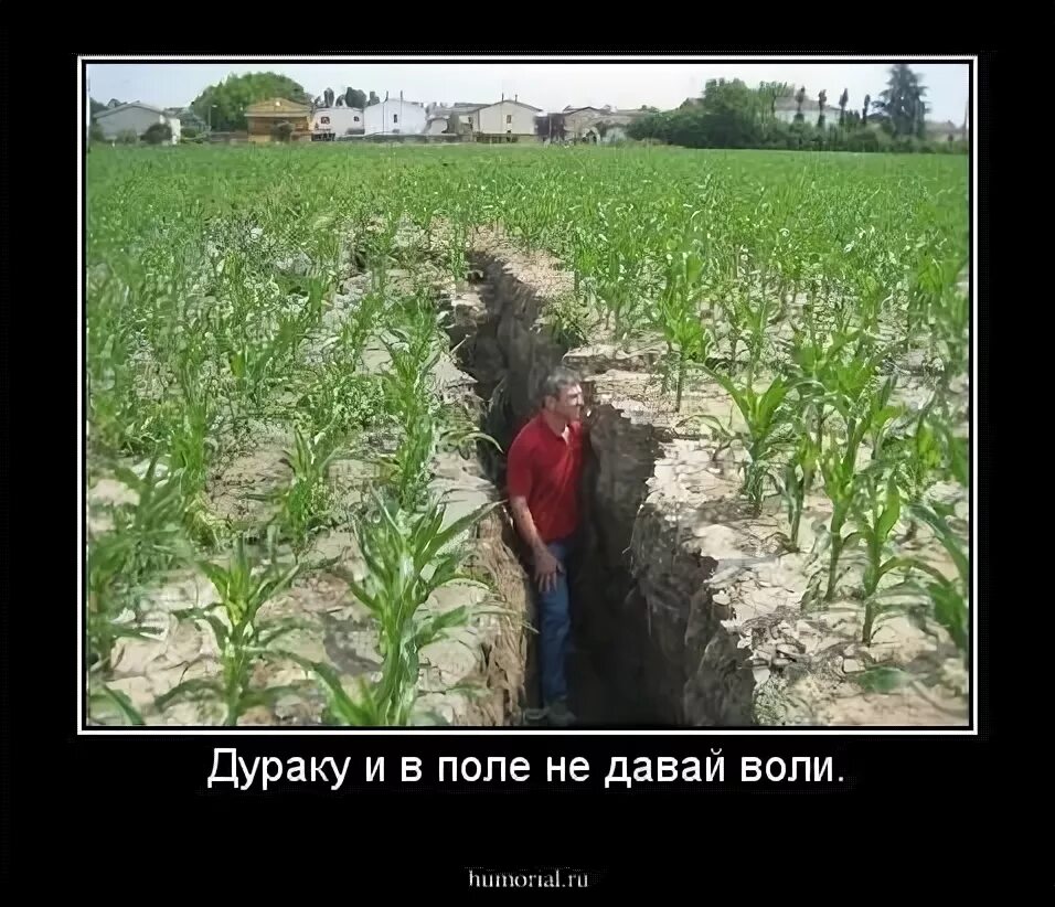 Приколы про поле. Приколы юмор шутки Деревенские дурачки. Юмор сельский дурачок. Сельский дурак. Прикол про поле