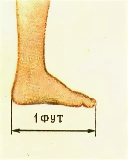 Что означает фута. Старинные меры длины на Руси фут. Старинные меры измерения фут. Фут мера длины. Старинные единицы измерения фут.