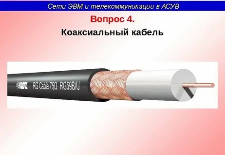 Дисциплина сети
