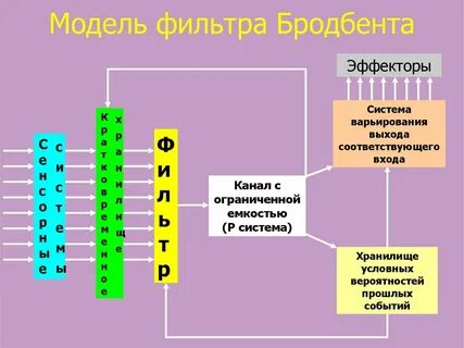 Модель внимания бродбента