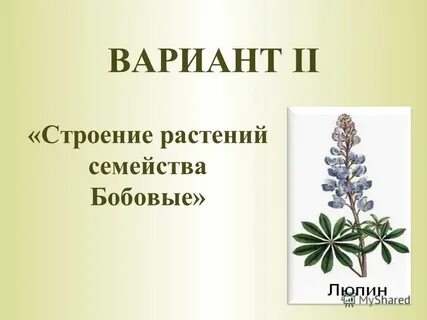 Тест по биологии 7 класс семейства растений