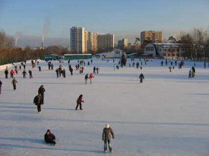 Каток ботанический