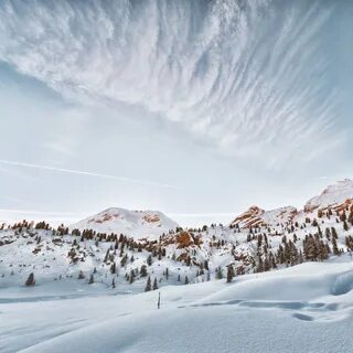 Snow 5
