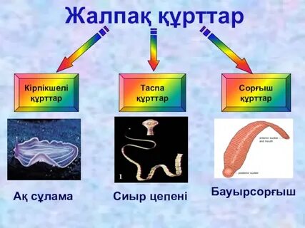 Nd порно лиз би