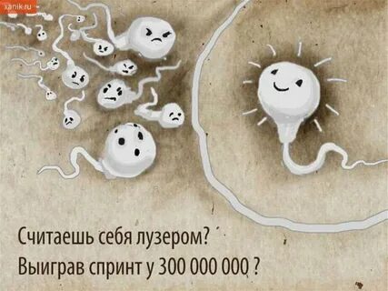 Победитель приходит первым