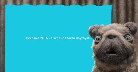 Твой экран