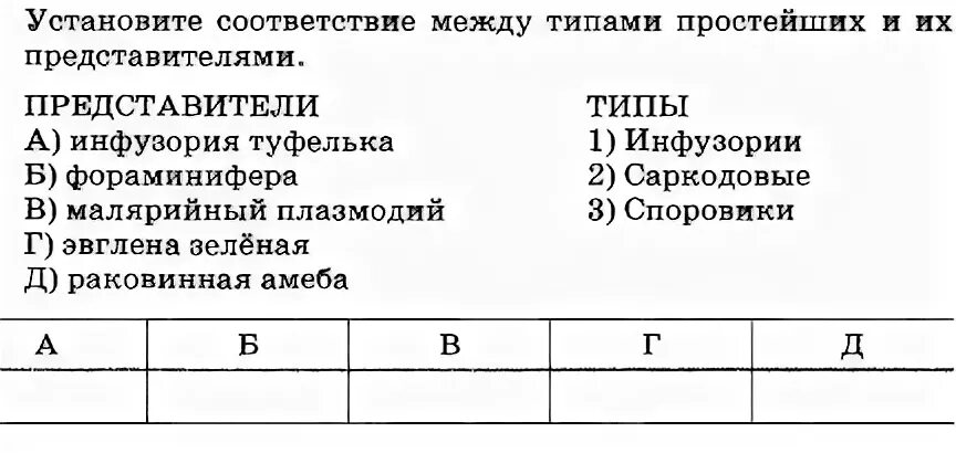 Тест подцарство простейшие