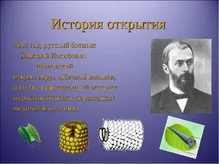 История вирусов биология