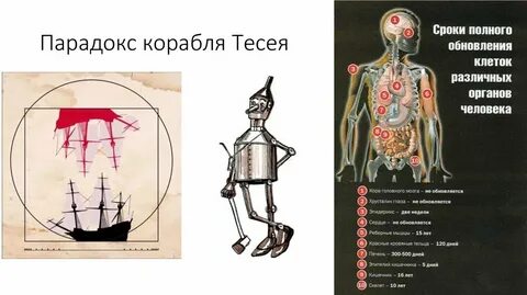 Парадокс тесея это