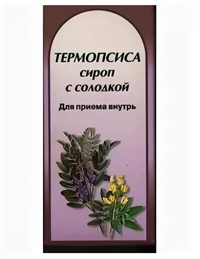 Настой травы термопсиса на латинском