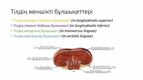 Бұзық отбасылық порно