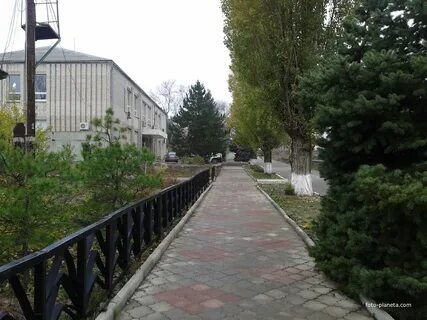 Авито милютинская доска