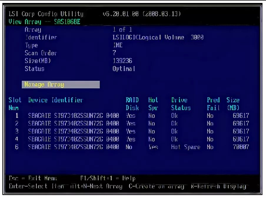 Config array. Lsi bios. диспетчертустройств lsi raid. lsi software raid configuration utility. lsi software raid configuration utility linux.