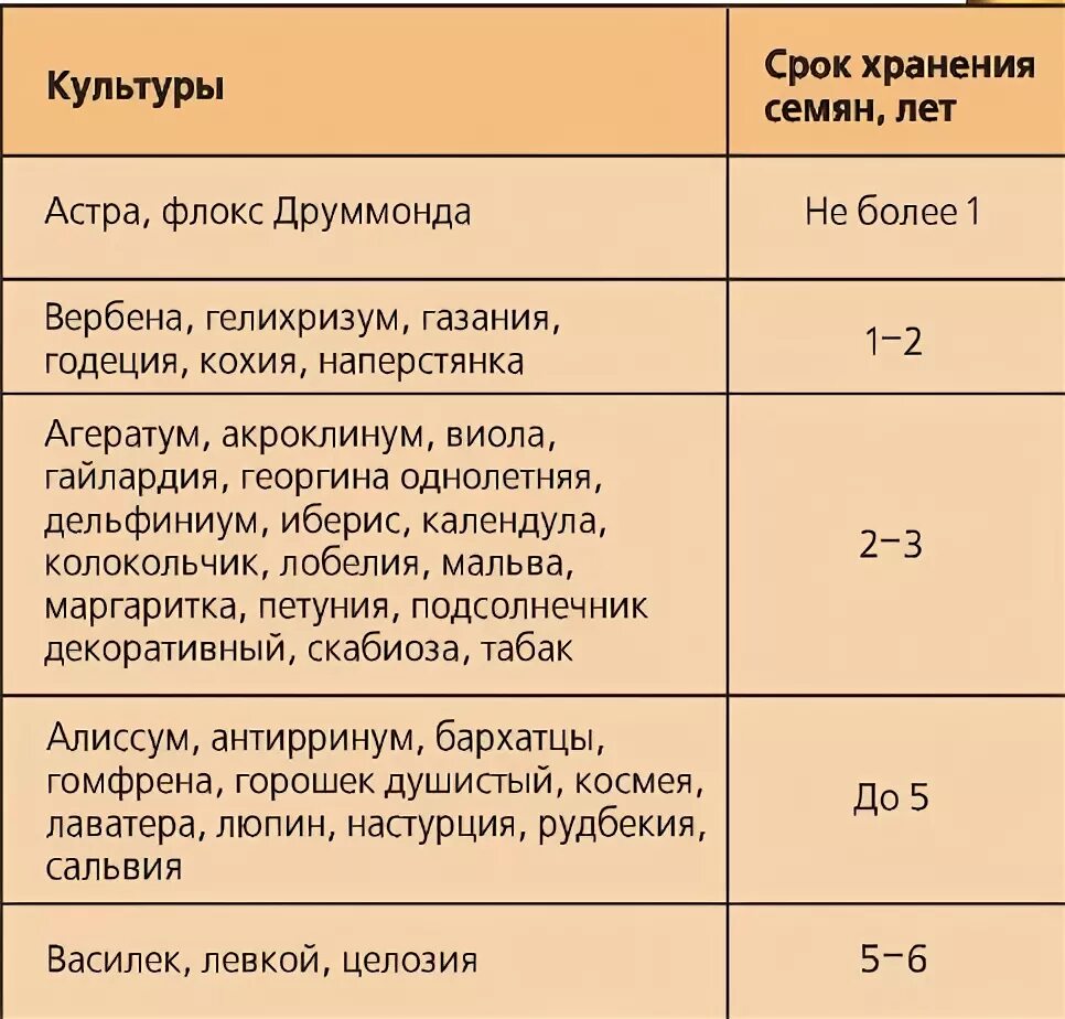 Семена сроки годности всхожести. Срок годности семян цветов таблица. Сроки годности цветочных семян. Таблица всхожести семян цветочных культур. Срок годности семян виолы.