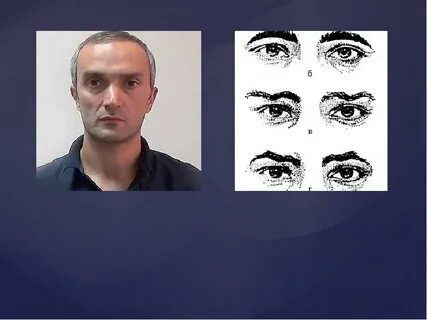 Внешность криминалистика