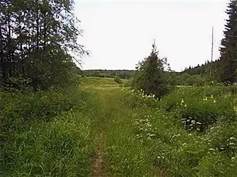 Фроловское шаховская