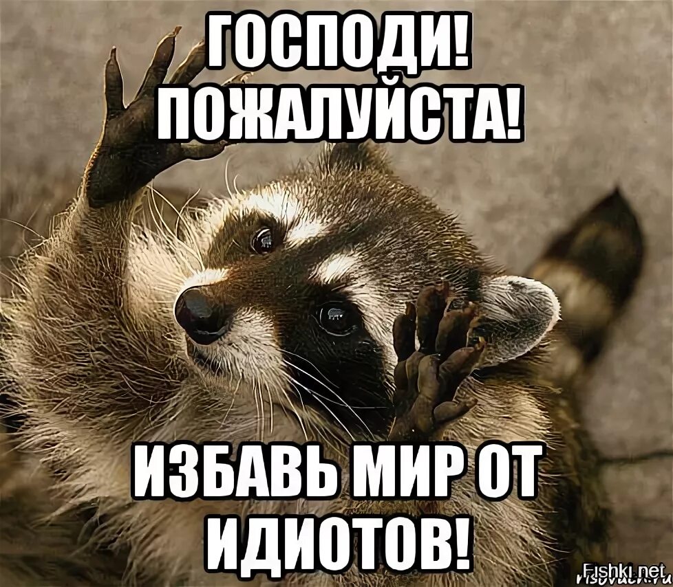 Открытка придурок. Хватит придурок. Спорить с дебилом. Мемы про придурков. Господи избавь мир от идиотов еноты.