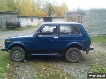 Авито оренбургская область нива