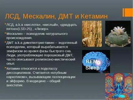 Пав духом