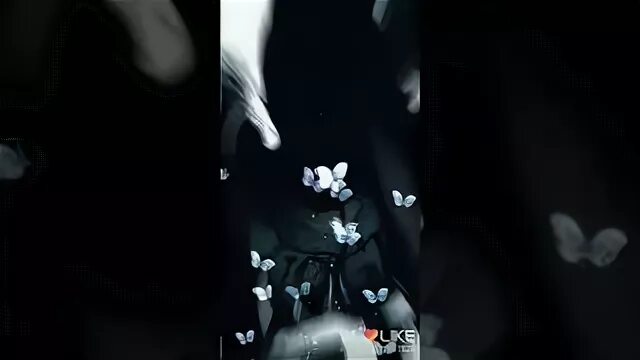 Песня а почему живот болит