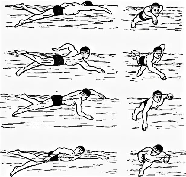 брасс на спине техника плавания. техника разворота в плавании брассом. брас yf cgbyy вид плавание техника. стиль плавания баттерфляй. кроль техника плавания схема.
