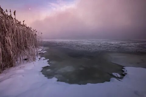 Ледостав дона