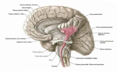 Тогда влияния от... 