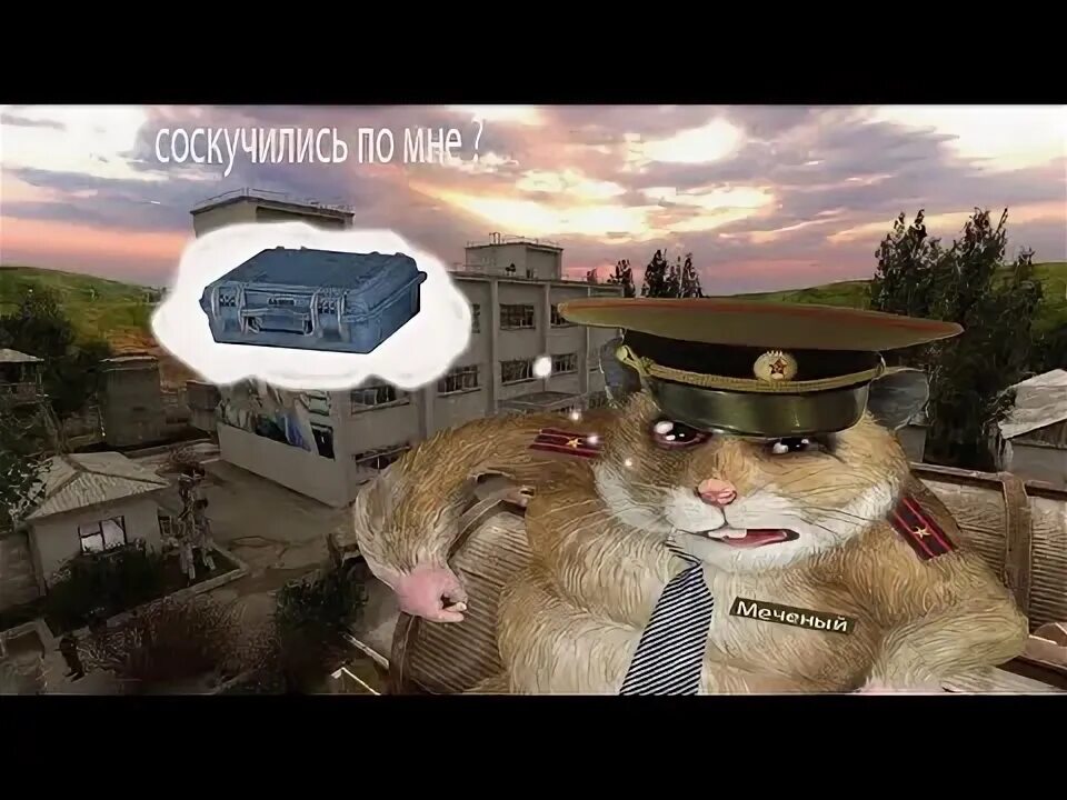 Боевой хомяк или как достать ректора. Хомяк военный. хомяк в армии. армия хомяков. хомяк в военной форме.