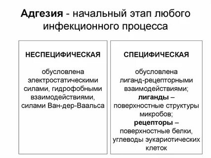 Адгезия это