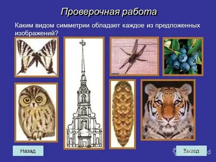 Симметрия что это 2 класс