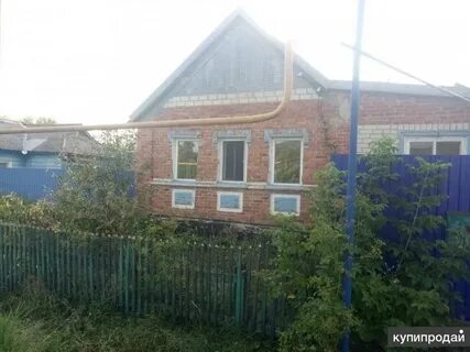 Погода село бехтеевка белгородская область корочанский