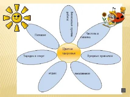 Здоровье 5 класс