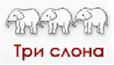 Сайт три слона каталог. Магазин три слона. Три слона Искитим. Три слона Заринск. Магазин 3 слона.