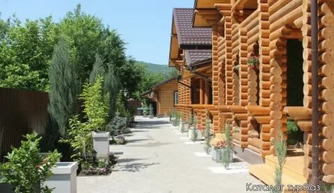 Горячие гостевая